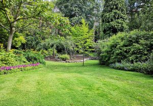 Optimiser l'expérience du jardin à Villeneuve-les-Cerfs